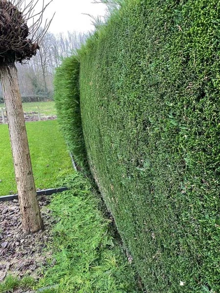 realisaties Sybrex Affligem