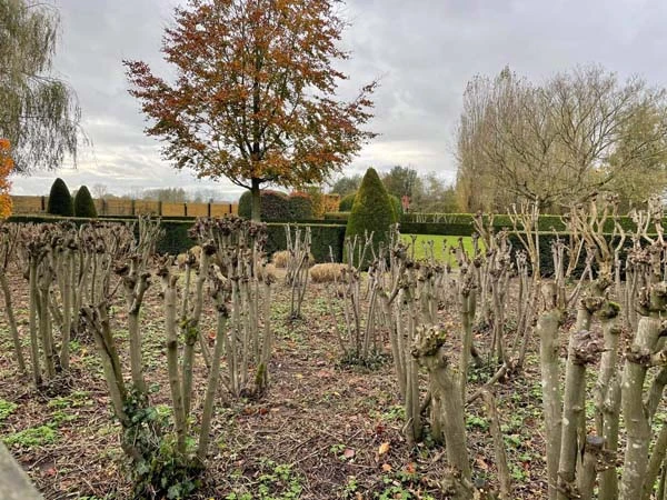 realisaties Sybrex Affligem