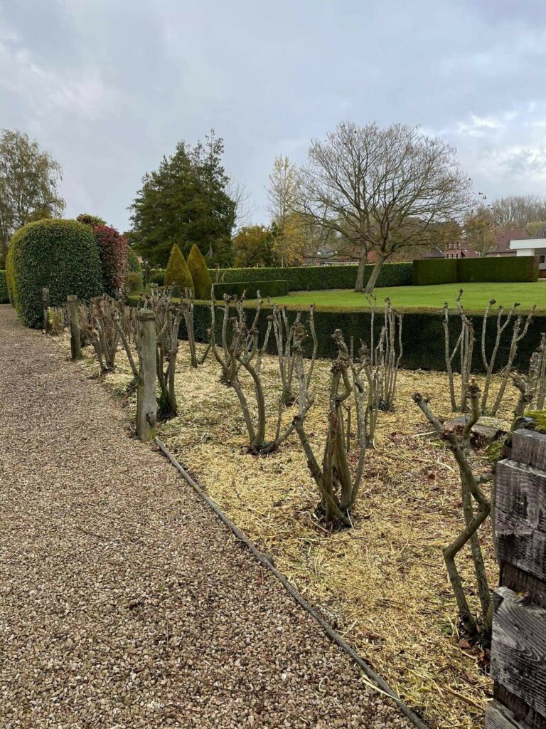 realisaties Sybrex Affligem