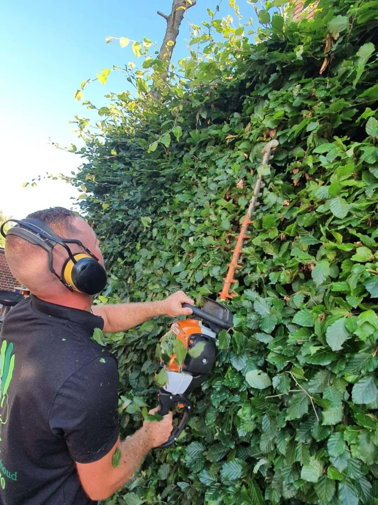 realisaties Sybrex Affligem