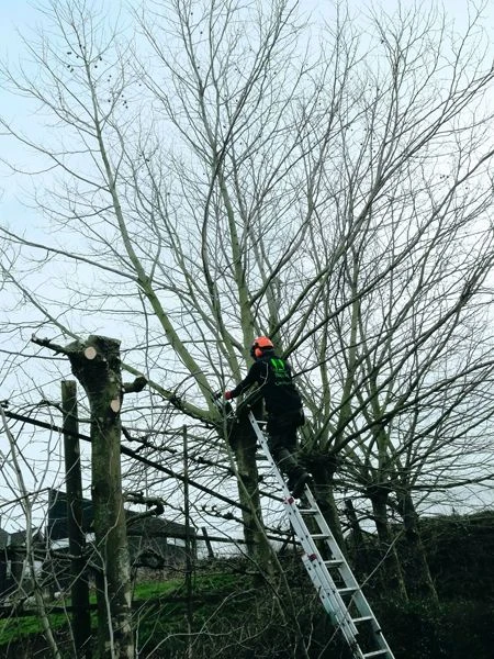 realisaties Sybrex Affligem