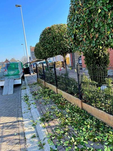 realisaties Sybrex Affligem