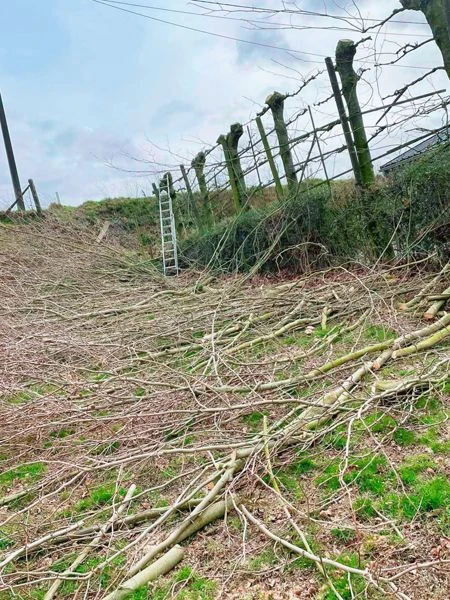 realisaties Sybrex Affligem