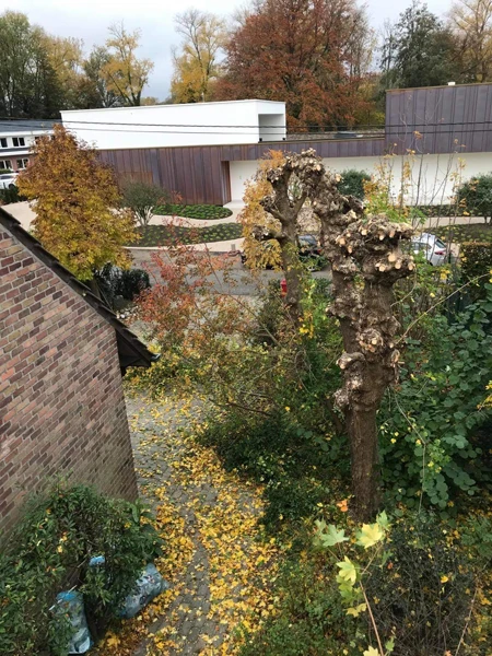 realisaties Sybrex Affligem