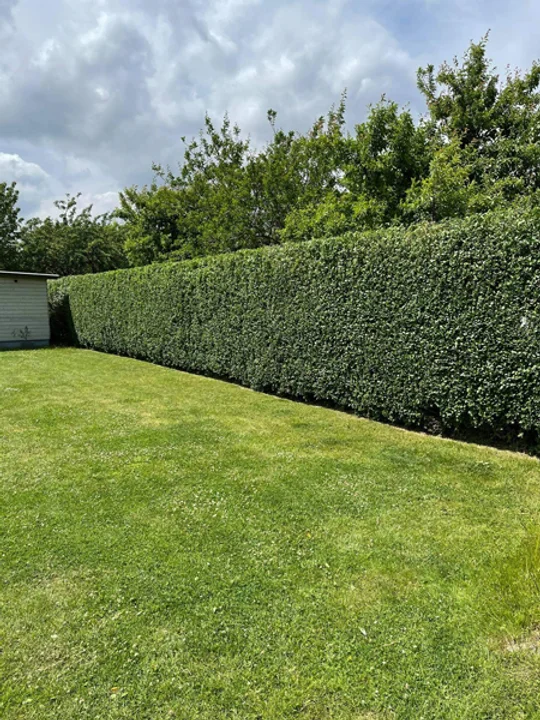 realisaties Sybrex Affligem