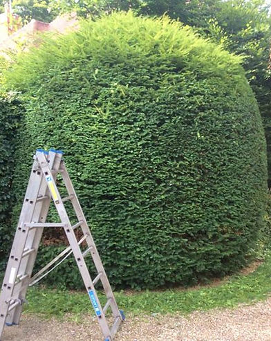 realisaties Sybrex Affligem